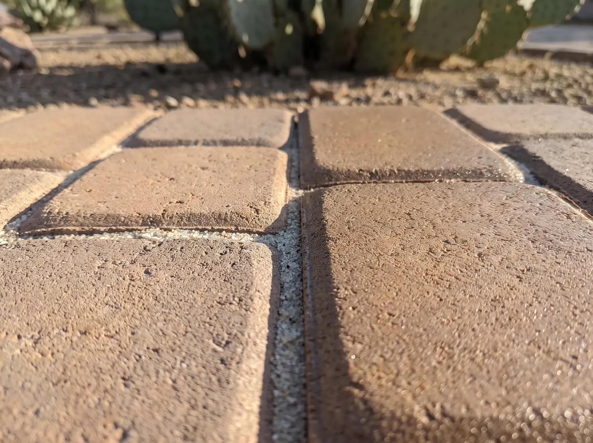 Sealed and unsealed pavers side by side